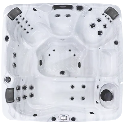 Avalon-X EC-840LX hot tubs for sale in Elyria