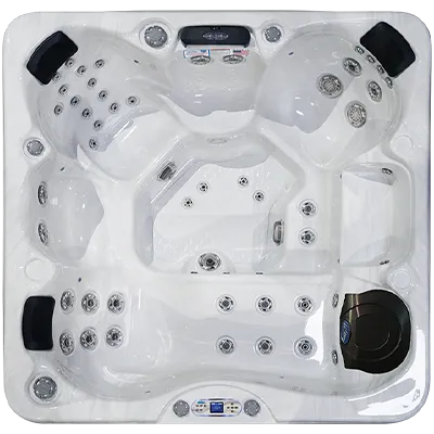 Avalon EC-849L hot tubs for sale in Elyria