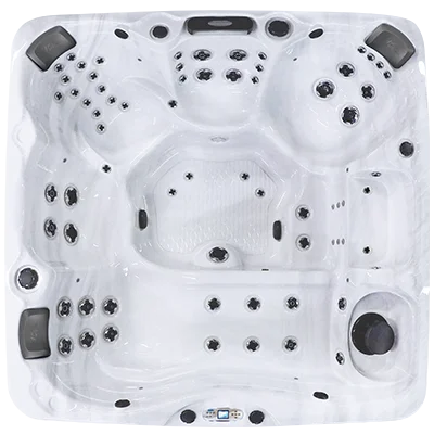 Avalon EC-867L hot tubs for sale in Elyria