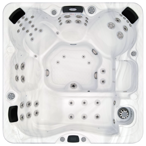 Avalon-X EC-867LX hot tubs for sale in Elyria